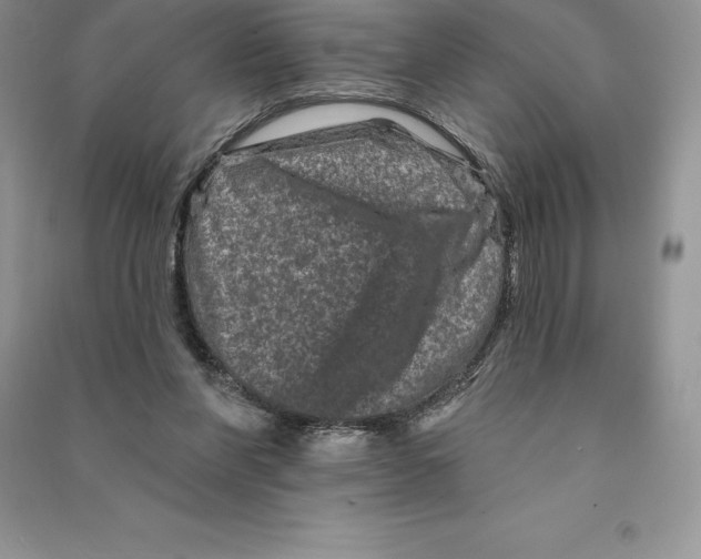 X0000090610206200708141358