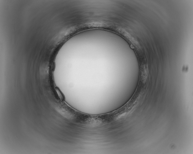 X0000090610207200708141358