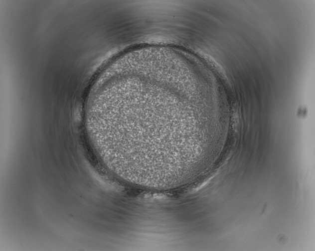 X0000090610208200708141358