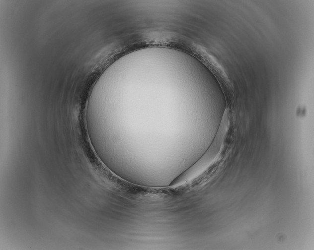 X0000090610209200708141358