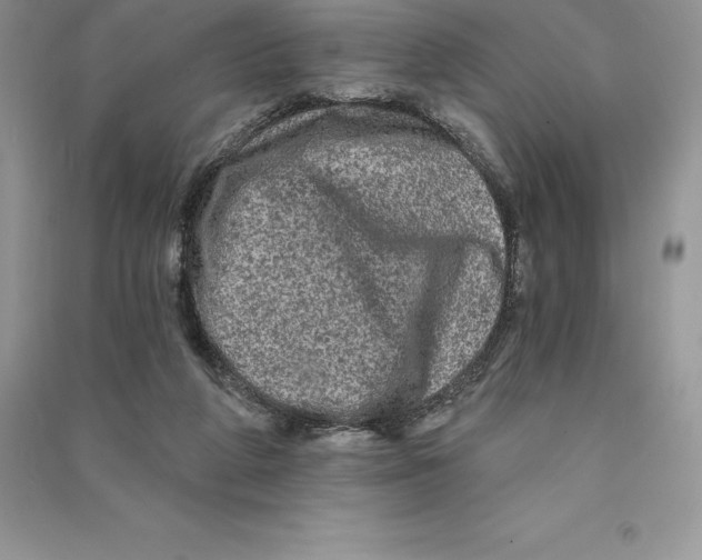 X0000090610210200708141358