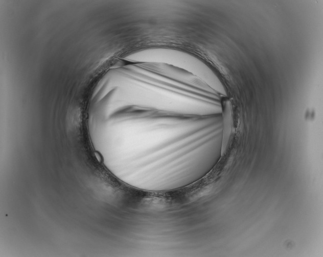 X0000090610211200708141358