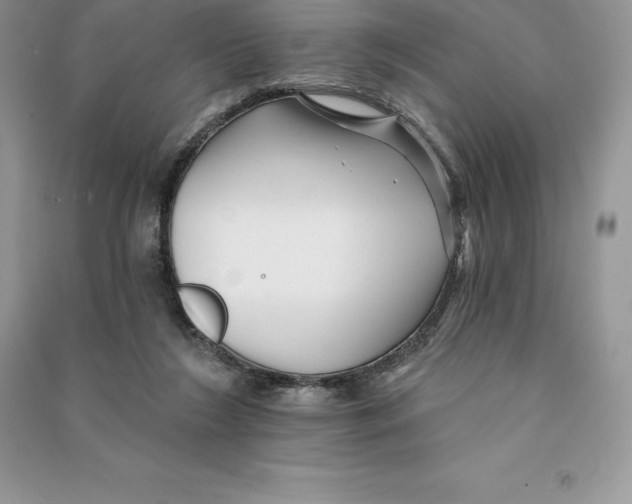 X0000090610212200708141358