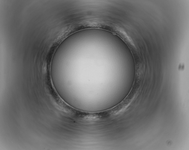 X0000090610213200708141358