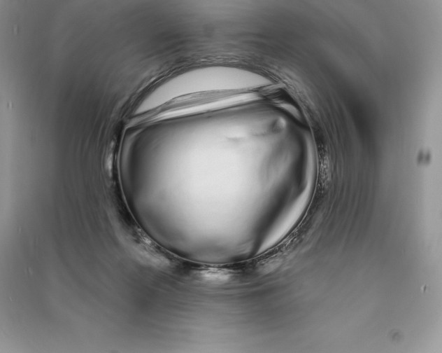 X0000090610214200708141358