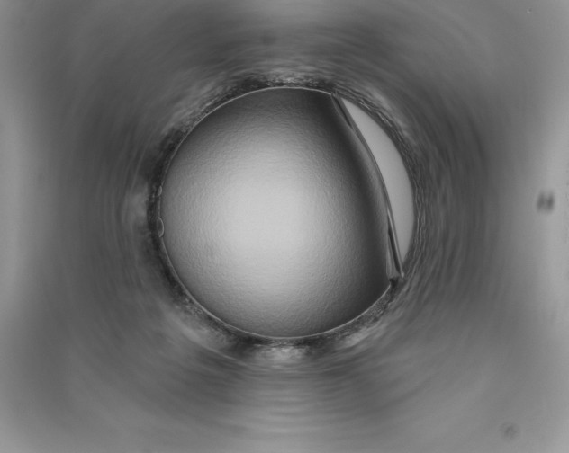 X0000090610217200708141358