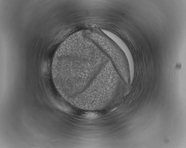 X0000090610218200708141358