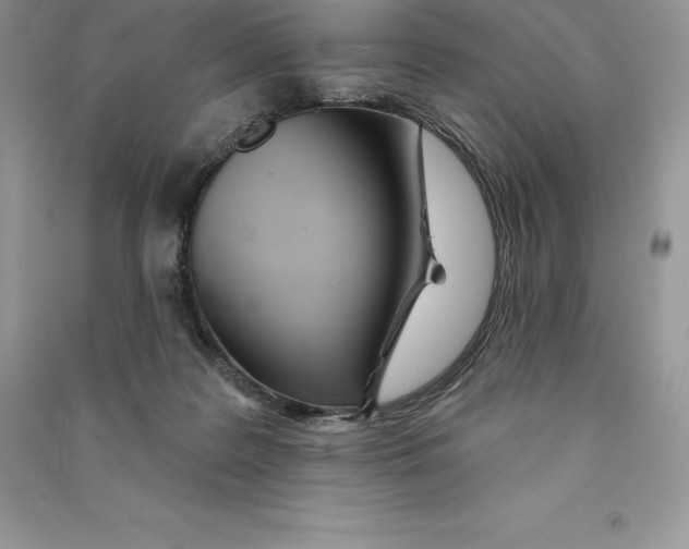 X0000090610219200708141358