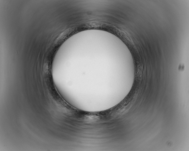 X0000090610220200708141358