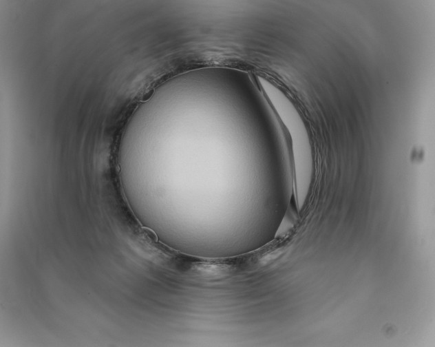 X0000090610221200708141358