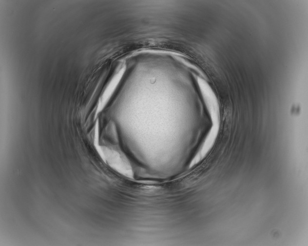 X0000090610222200708141358