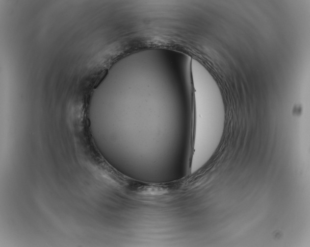 X0000090610223200708141358