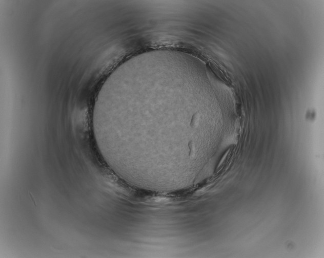 X0000090610224200708141358