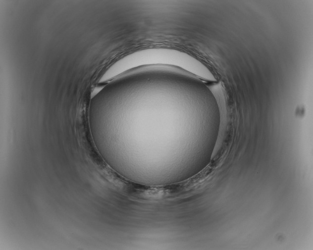 X0000090610225200708141358