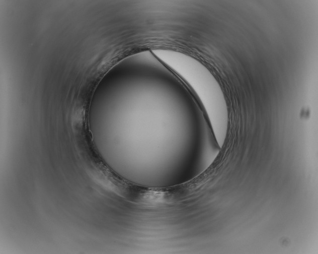 X0000090610227200708141358