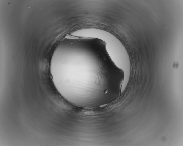 X0000090610228200708141358