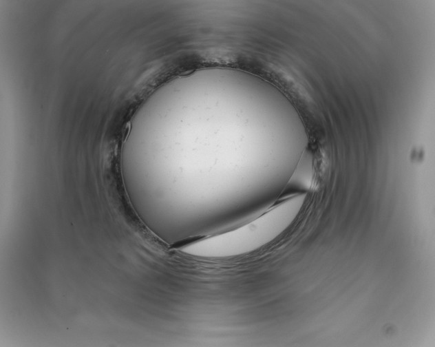 X0000090610229200708141358