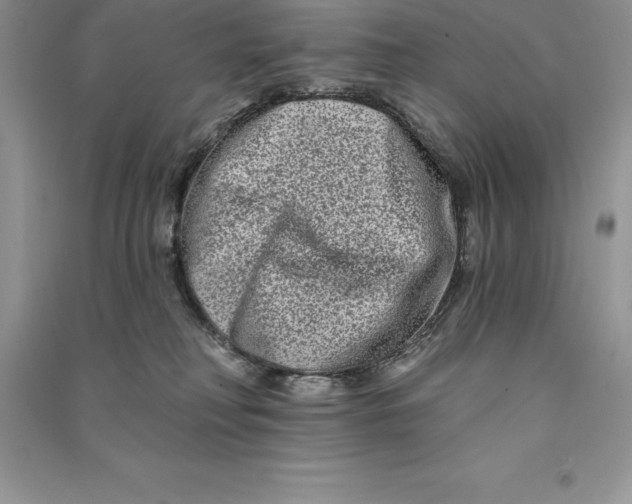 X0000090610230200708141358