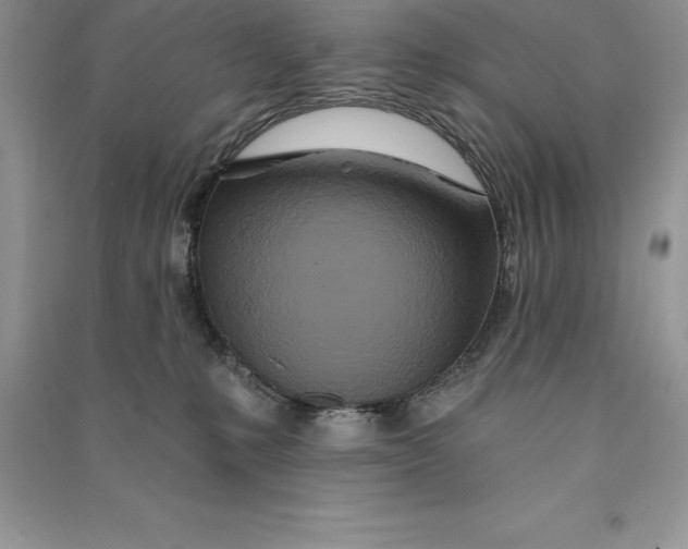 X0000090610231200708141358