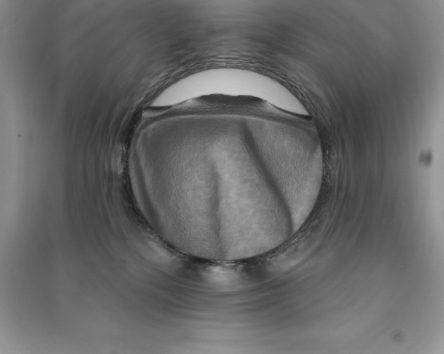 X0000090610232200708141358