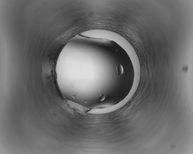 X0000090610233200708141358