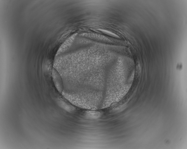 X0000090610234200708141357