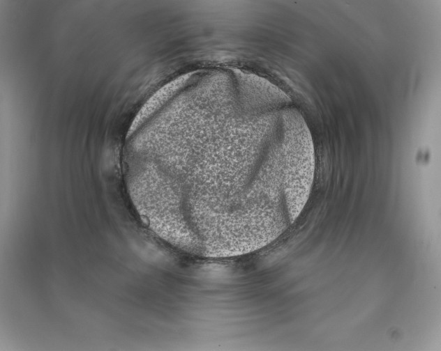 X0000090610236200708141357