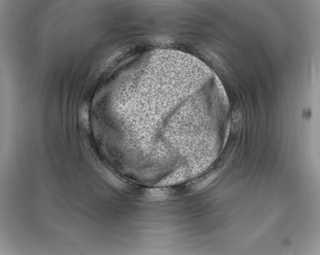 X0000090610238200708141357