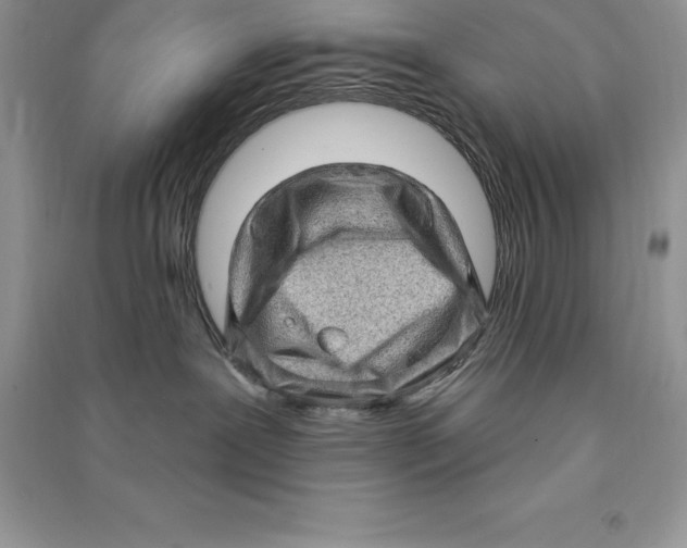 X0000090610239200708141357