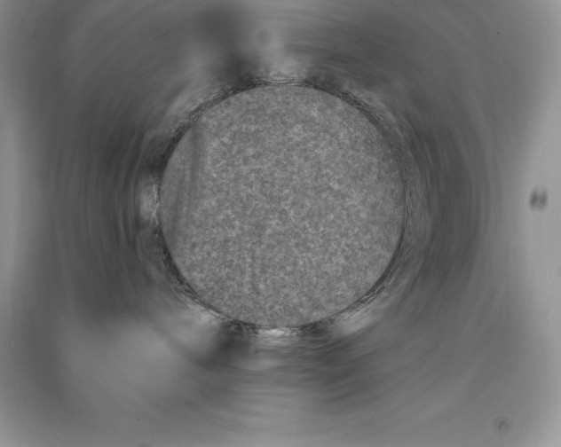 X0000090610240200708141357