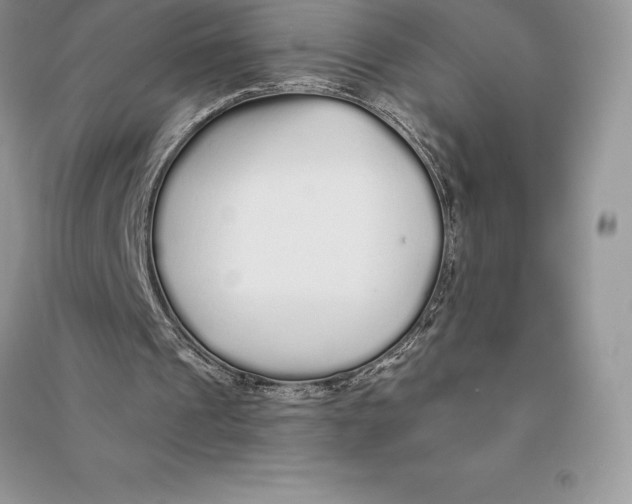 X0000090610241200708141357