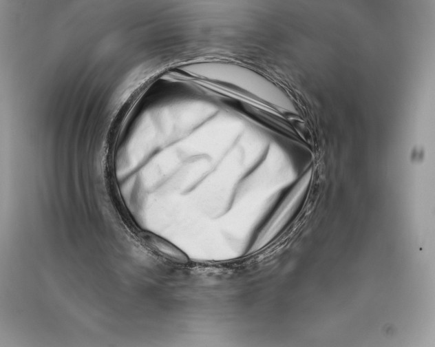 X0000090610242200708141357