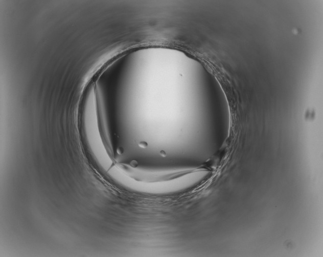 X0000090610244200708141357