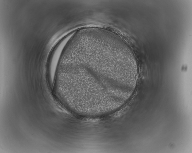 X0000090610247200708141357