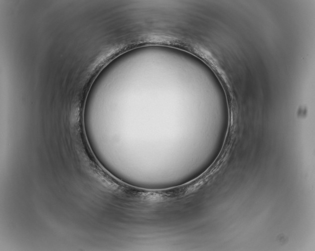 X0000090610249200708141357