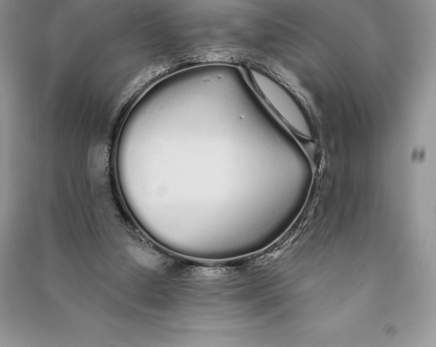 X0000090610250200708141357