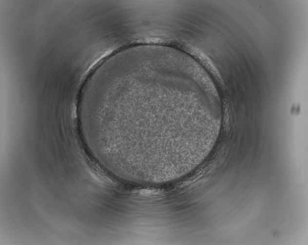 X0000090610251200708141357