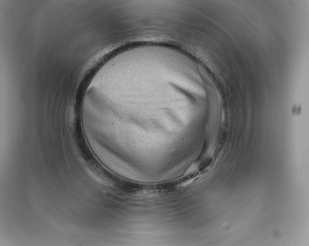 X0000090610252200708141357