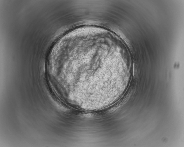 X0000090610253200708141357