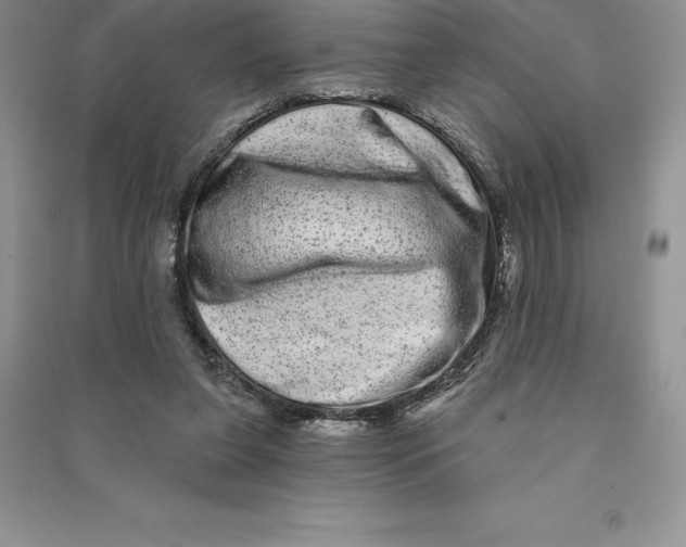 X0000090610255200708141357