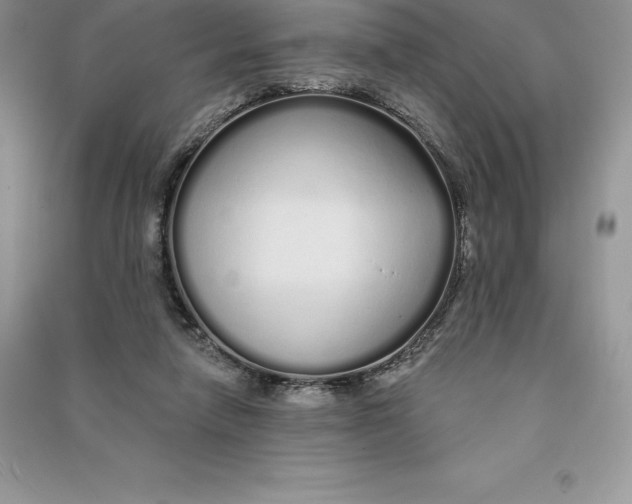 X0000090610258200708141357