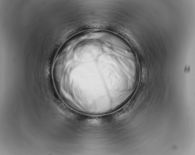 X0000090610259200708141357