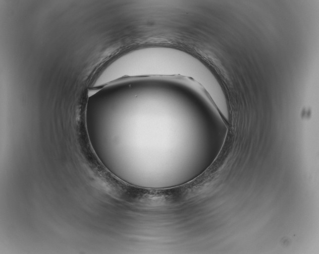 X0000090610260200708141357