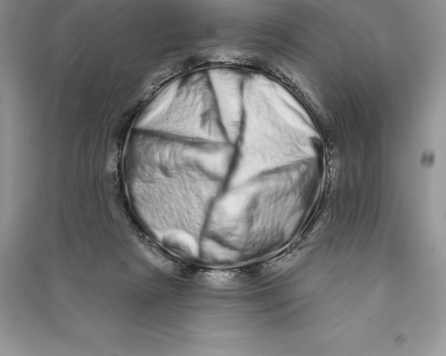 X0000090610265200708141357