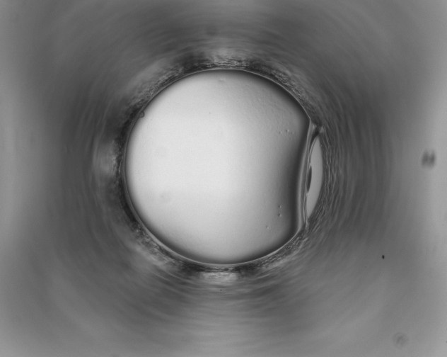 X0000090610266200708141357