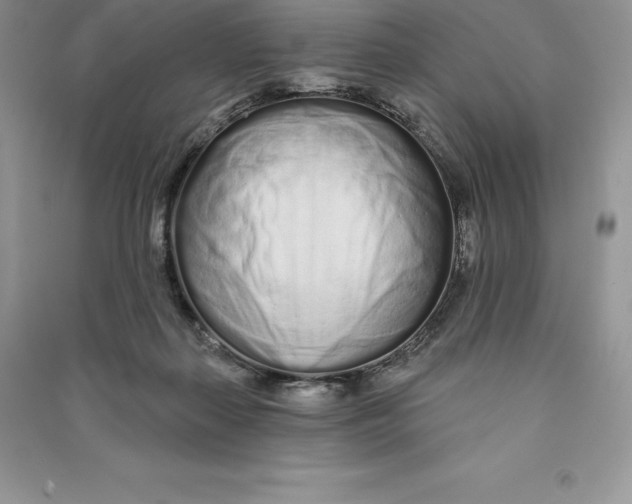 X0000090610267200708141357