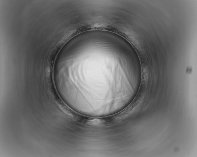 X0000090610269200708141357