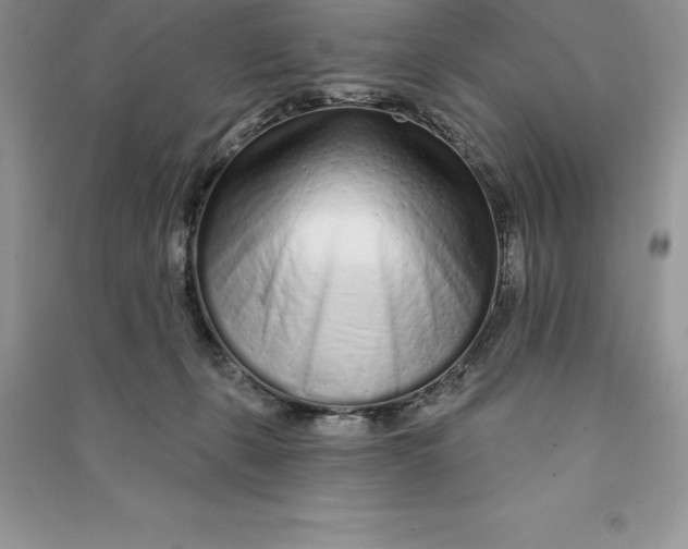 X0000090610271200708141357