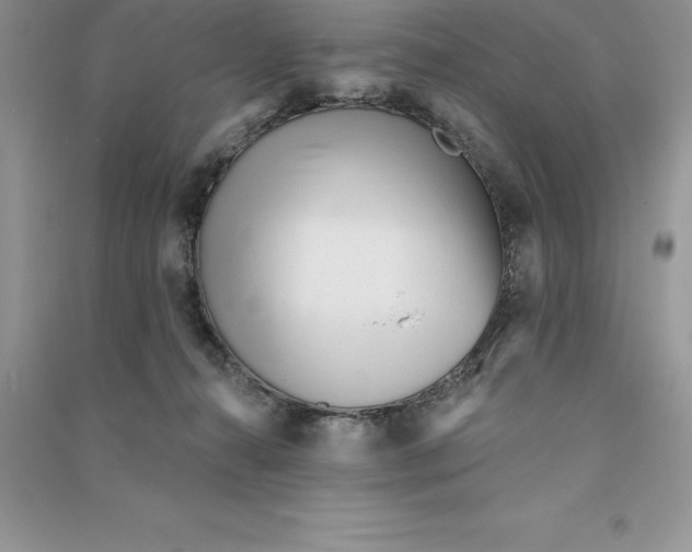 X0000090610272200708141357