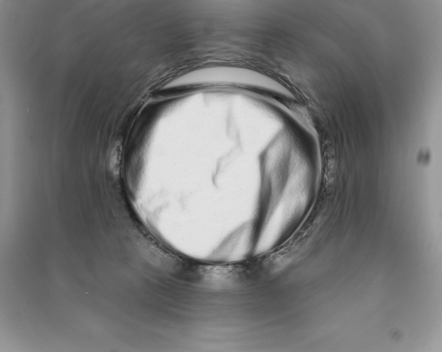 X0000090610273200708141357